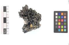 Foto von Gold (NHMW-MIN-Ai636)